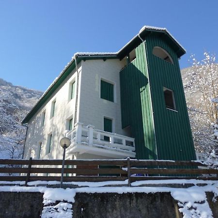 Appartements Les Pins Cierp Екстериор снимка